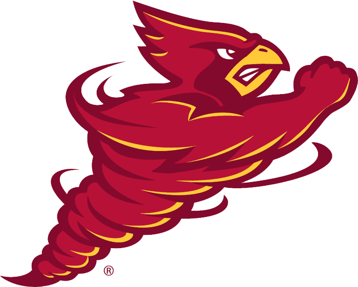 Iowa State Cyclones 2008-Pres Alternate Logo iron on transfers for clothing...